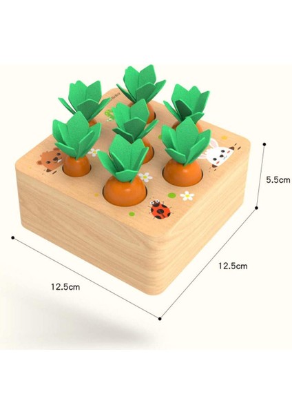 Ahşap Oyuncak Montessori Hasat Havuç Eğitici Oyuncak (Yurt Dışından)