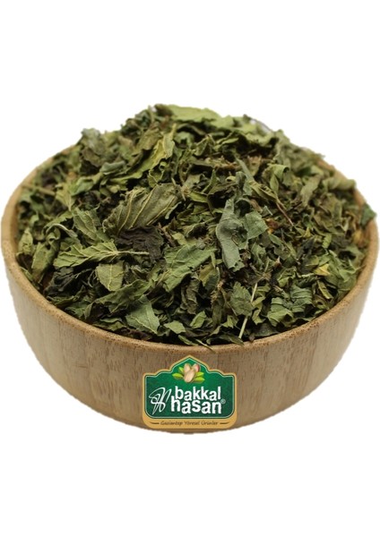 Isırgan Otu
