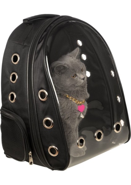 Şeffaf Astronot Kırılmaz Kedi Köpek Taşıma Çantası 42 x 22 x 33 cm Siyah fiyatları