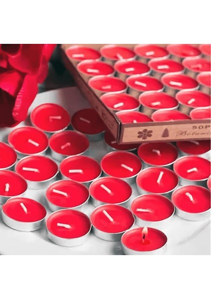 2500 Adet Kuru Gül + 50 Adet Tealight Mum + 365 Gün Söz Kartları + 1 Adet Seni Seviyorum Yastık