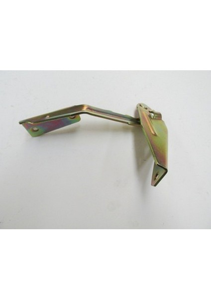 1998 - 2005 Ford Focus Sdhb Kaput Menteşesi Sol (Tyg) (Oem NO:YS4Z16801AF)