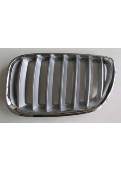 2004 - 2006 Bmw X5 E53 Ön Panjur Sol Nikelajlı - Iç Peteği Gümüş Gri (Oem NO:51137113733)