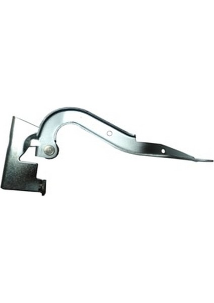 2007 - 2010 Toyota Auris Kaput Menteşesi Sağ (Tyg) (Oem NO:5341002100)