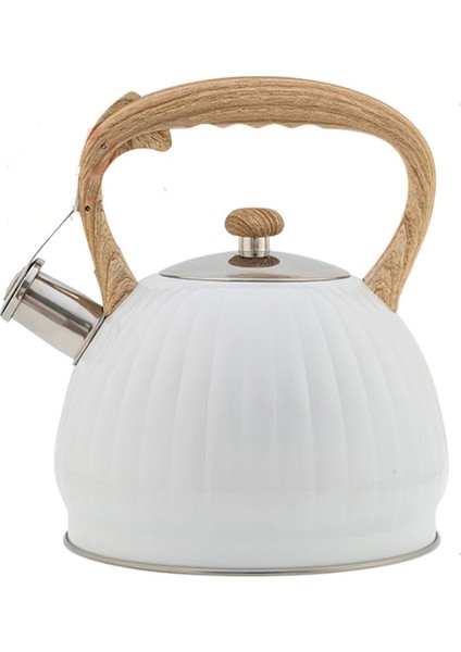 Paslanmaz Çelik Su Isıtıcısı (Yurt Dışından)