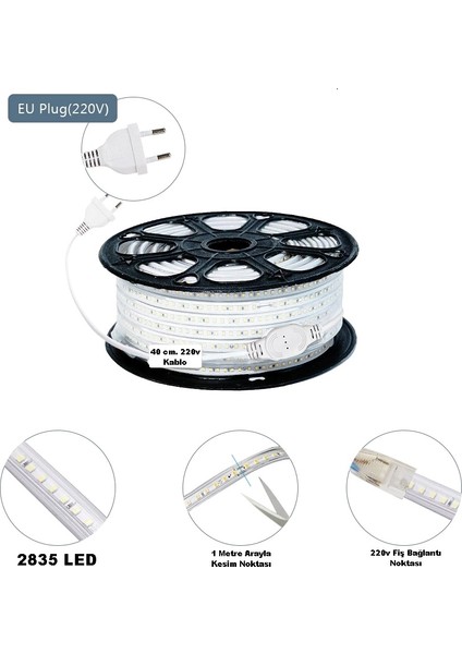 Hortum LED 220 Volt Su Geçirmez Fiş Dahil Metrede 120 LED 10 Metre