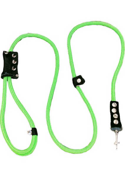 Köpek gezdirme kayışı boyun tasmalı halat yeşil deri kapamalı zımbalı kalınlık:8mm uzunluk:120cm tasma: ayarlamalı dog leash TB2-8