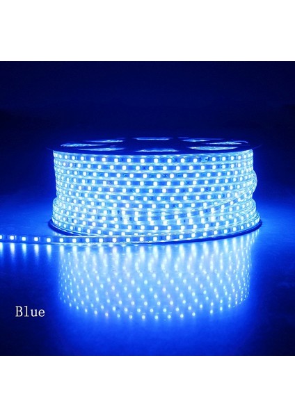 Hortum LED 220 Volt Su Geçirmez Fiş Dahil Metrede 120 LED 25 Metre