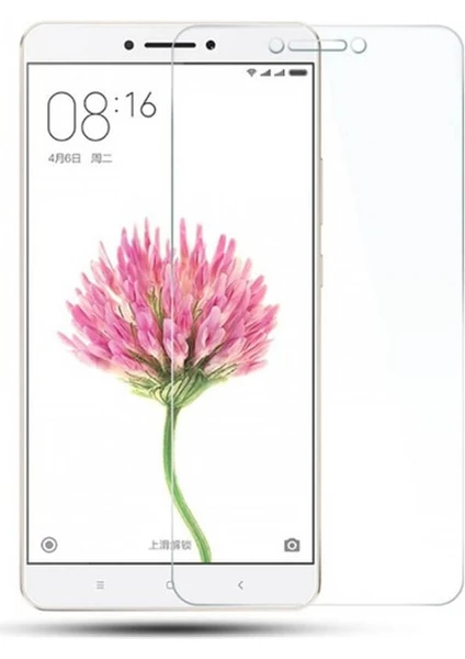 Xiaomi Mi Max Nano Kırılmaz Cam Ekran Koruyucu