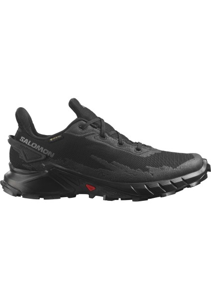 Alphacross 4 Gtx Siyah Erkek Spor Ayakkabı L47064000-22722