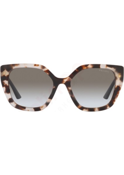 24XS UAO0A7 52 Kadın Güneş Gözlüğü fiyatları