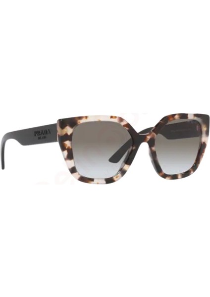 24XS UAO0A7 52 Kadın Güneş Gözlüğü modelleri