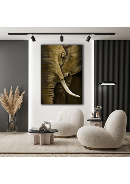Fil Dekoratif Kanvas Tablo fiyatları