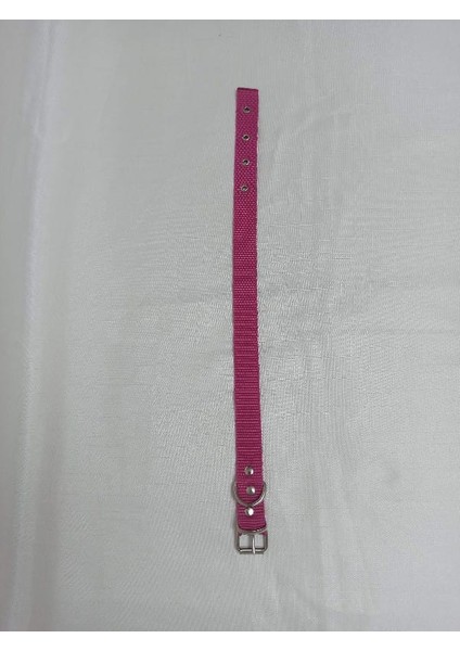 Küçük Irk Köpek Tasması Boy 50 cm En 2.5 cm