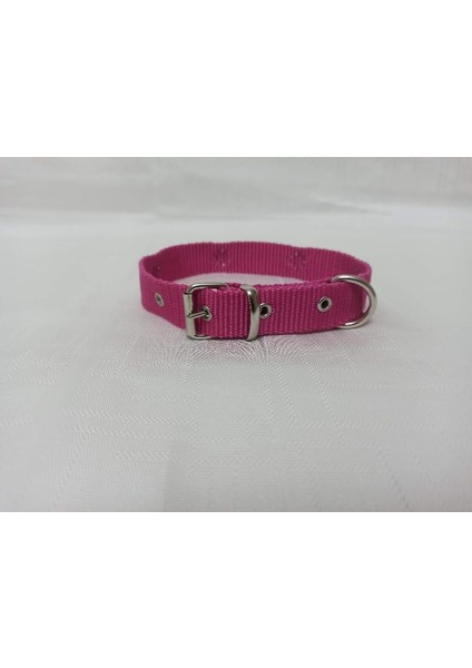 Küçük Irk Köpek Tasması Boy 50 cm En 2.5 cm