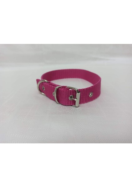Küçük Irk Köpek Tasması Boy 50 cm En 2.5 cm