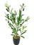 Yapay Çiçek Siyah Saksıda Zeytin Dalı 60CM 1