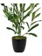 Yapay Çiçek Siyah Saksıda Zeytin Dalı 60CM 2