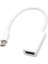 Mını Dısplay Port To HDMI Adaptör 1
