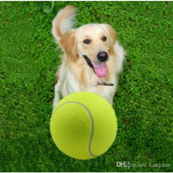 Petzoom Tenis Topu Köpek Oyuncağı 3 Adet