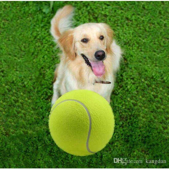 Nunbell Tenis Topu Köpek Oyuncağı 1 Adet