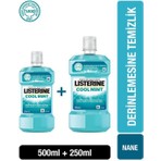 Listerine Cool Mint Ağız Bakım Suyu 500 ml + 250 ml