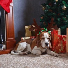 Abnaok Noel Köpek Kostümâ, Köpek Noel Kıyafet Ayarlanabilir Pet Ren Geyiği Boynuzları Köpek Kediler ve Köpekler Için Köpek Noel Kafa Geyik Şapka (Gre