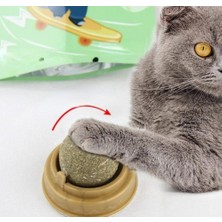 Horasan Ticaret Kedi Nanesi Cat Mint Oyun Topu