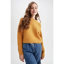 DeFacto Coool Regular Fit Bisiklet Yaka Kazak L2567AZ22AU