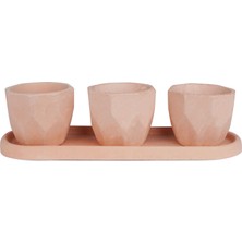 Echo Pot Eti Ebabil Kiremit Rengi 3 Lü Saksı Seti