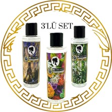 Petrichor Sihirli Kokular Küre & Tüm Makinelere Uyumlu Geniş Alan Koku Makinesi Parfüm Solüsyonu 3'lü Set