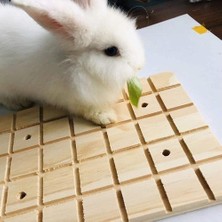 Xhang Pinvnby Tavşan Pençeleri Tıraşlama Kurulu Bunnyâ Ahşap Taşlama Güverte Küçük Hayvan Play Oyuncak Ayak Pad Hamster Chinchilla Sincap Gine Domuzu (Yurt Dışından)