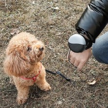 Haitun Handsfree Bilek Geri Çekilebilir Köpek Tasma (Yurt Dışından)