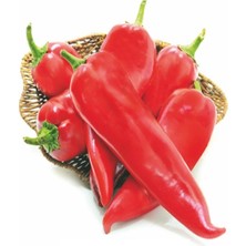 Makrogen Seed Kırmızı Biber Tohumu - Ecrin - Makrogen-10 Gr