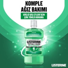 Listerine Diş ve Diş Eti Koruması Hafif Tat 500 ml