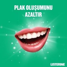 Listerine Fresh Burst Ağız Bakım Suyu 500 ml