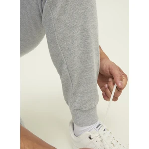 Jack & Jones Regular Fit Açık Gri Erkek Eşofman Altı 12212170_JPSTGORDON Jjshark Sweat C