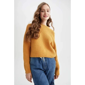 Coool Regular Fit Bisiklet Yaka Kazak L2567AZ22AU