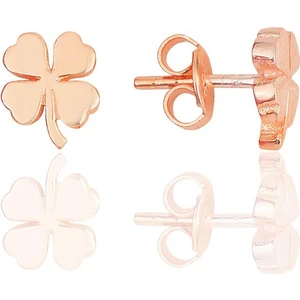 Söğütlü Silver Gümüş Rose  Üç Boyutlu Dört Yapraklı Yonca Küpe