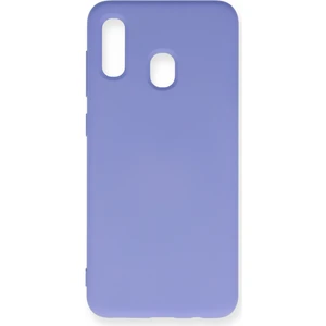 Bilişim Aksesuar  Samsung Galaxy A20 Kılıf Nano Içi Kadife  Silikon - Lila