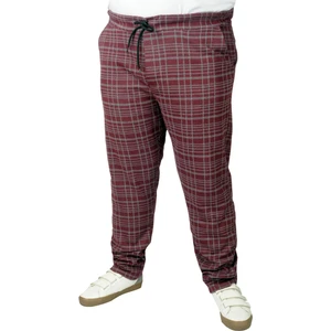 Büyük Beden Erkek Sweatpant Yancep 22514 Mürdüm