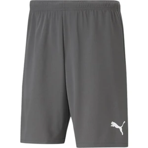Teamrise Short Erkek Şortu 70494213 Gri