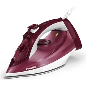 GC2993/40 Buharlı Ütü