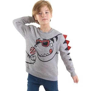 Şekerci Dino Erkek Çocuk Sweatshirt