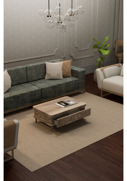 Rosa Çok Amaçlı Akıllı Sehpa Sihirli Sehpa Yemek Masası Çay Sehpası Alaska Renk