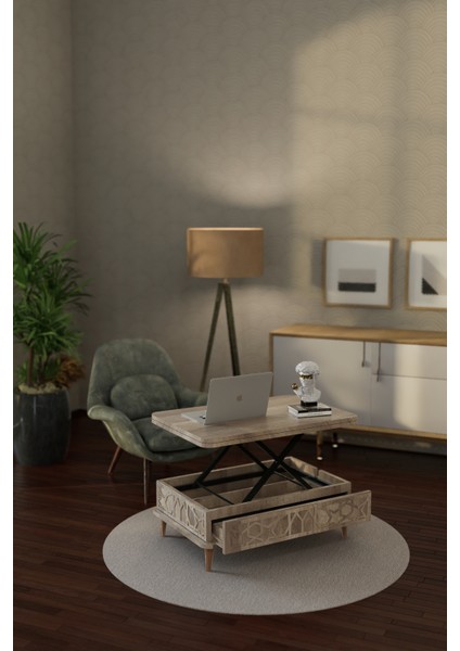 Rosa Çok Amaçlı Akıllı Sehpa Sihirli Sehpa Yemek Masası Çay Sehpası Alaska Renk modelleri