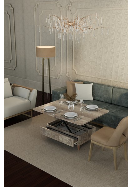 Rosa Çok Amaçlı Akıllı Sehpa Sihirli Sehpa Yemek Masası Çay Sehpası Alaska Renk fırsatları