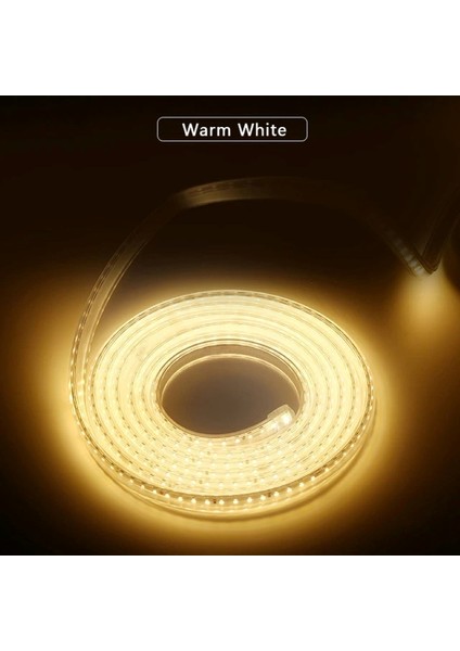 Hortum LED 220 Volt Su Geçirmez Fiş Dahil Metrede 120 LED 5 Metre fiyatları