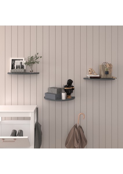 Doğal Modern Organizer Düzenleyici Oval Dekoratif Kitaplık Banyo Mutfak Duvar Rafı Antrasit