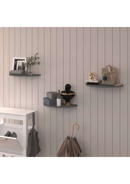 Doğal Modern Organizer Düzenleyici Oval Dekoratif Kitaplık Banyo Mutfak Duvar Rafı Antrasit