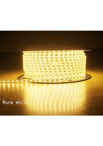 Hortum LED 220 Volt Su Geçirmez Fiş Dahil Metrede 120 LED 20 Metre